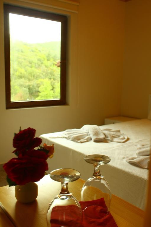 Uyku Vadisi Hotel Agaclihuyuk 部屋 写真